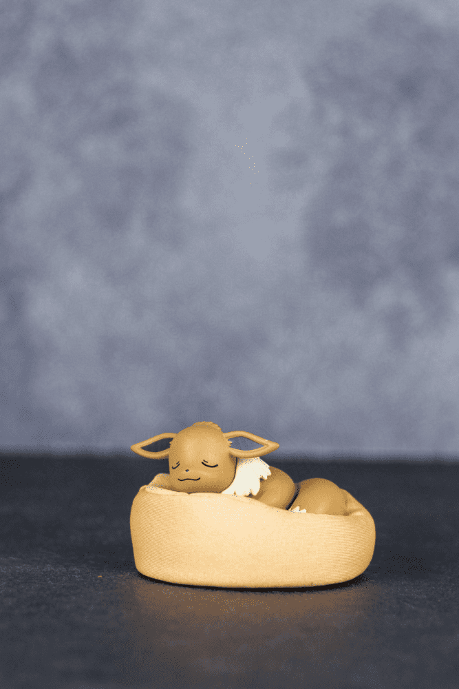 Pokémon Day, Eevee, Evolve Into Your Best Geeky Self, That Geek Life Blog