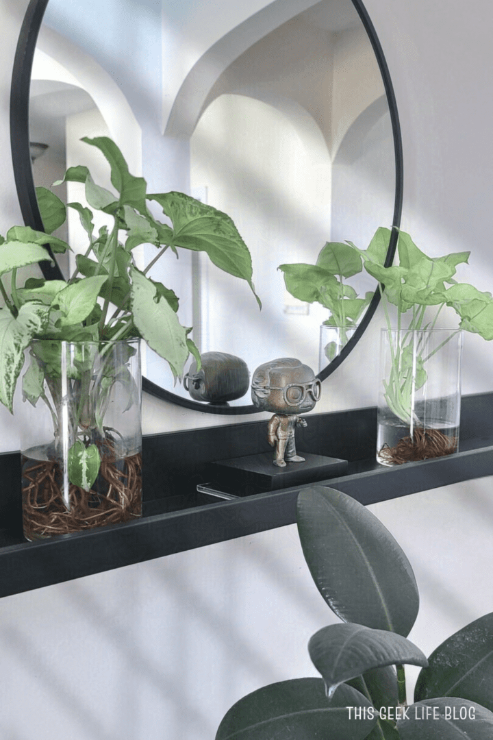 Personalized Home Decor, Entryway, This Geek Life Blog