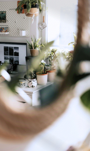 The Joy of Living Your Geek Life The Quiet Joy of Living Your Geek Life, This Geek Life Blog