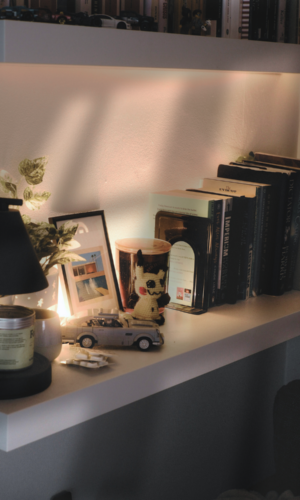 Building a Meaningful Geek Collection A thoughtful collection should feel personal, sustainable, and connected to the way you want your home — and your fandom experience — to feel. This Geek Life Blog